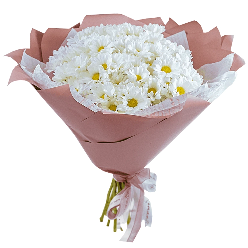 Букет из 15 ромашковых белых хризантем