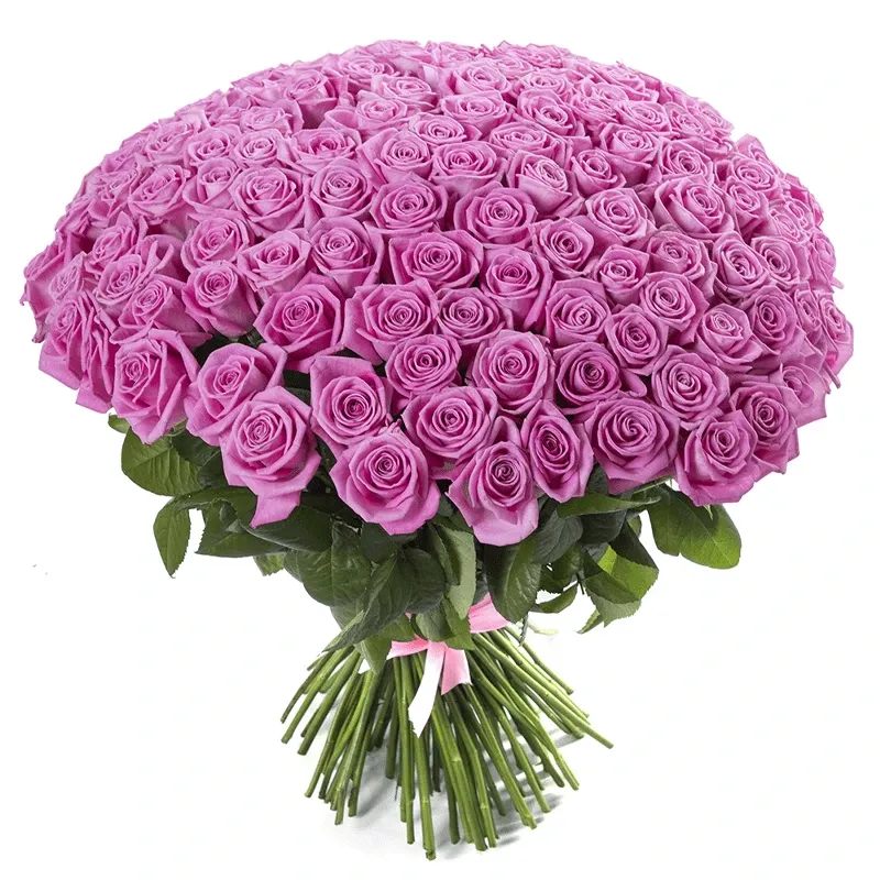 Букет из 51 розовой розы