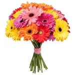 Герберы яркий микс